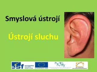smyslov stroj