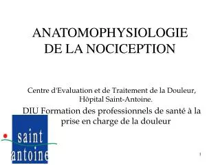 anatomophysiologie de la nociception