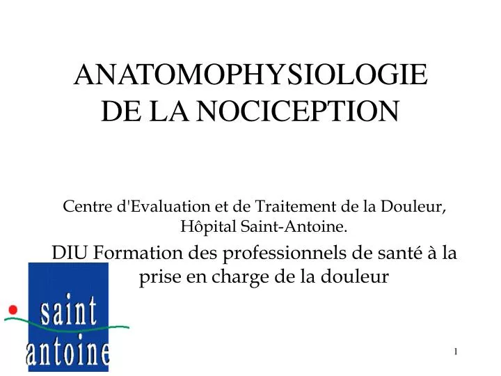 anatomophysiologie de la nociception