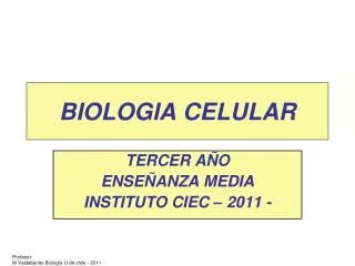 biologia celular