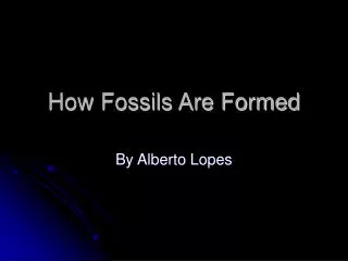 How Fossils Are Formed