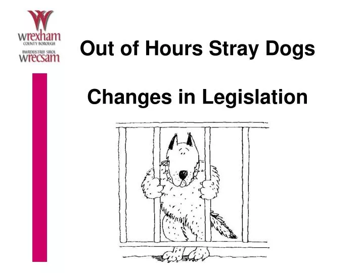 out of hours stray dogs changes in legislation