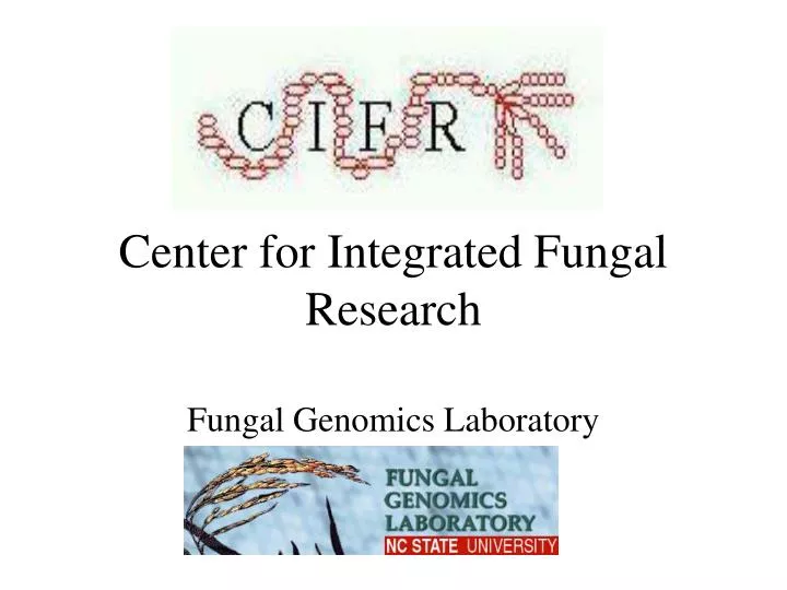 center for integrated fungal research