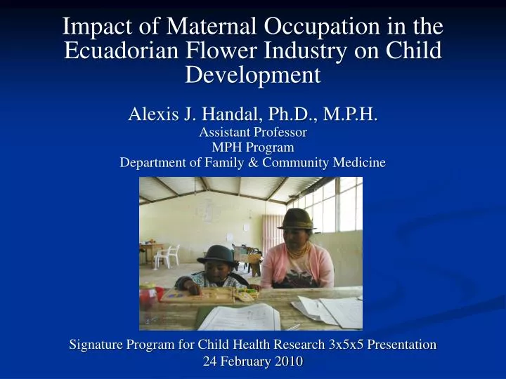 impact of maternal occupation in the ecuadorian flower industry on child development