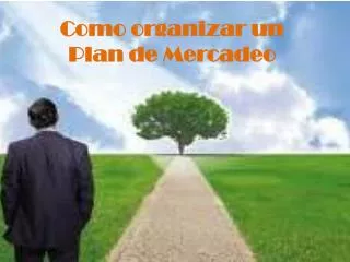 como organizar un plan de mercadeo