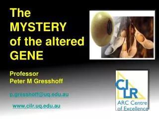 The MYSTERY of the altered GENE Professor Peter M Gresshoff p.gresshoff@uq.au