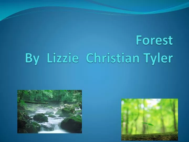 forest by lizzie christian tyler