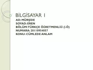 b lg sayar 1