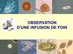 OBSERVATION Dâ€™UNE INFUSION DE FOIN - slide 1
