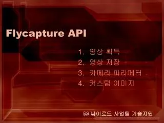 flycapture api