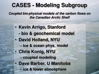 CASES - Modeling Subgroup