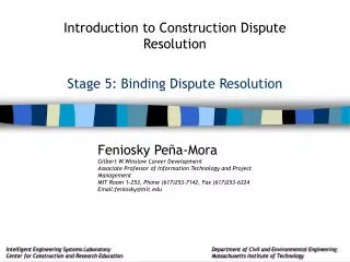 Stage 5: Binding Dispute Resolution