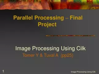 Parallel Processing – Final Project