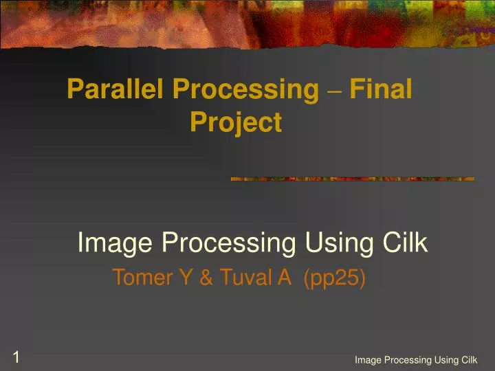parallel processing final project