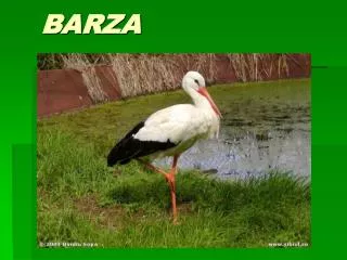 BARZA