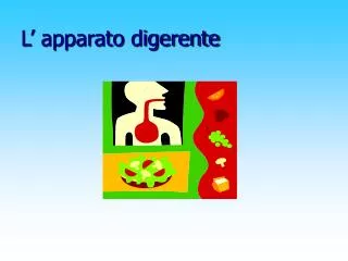l apparato digerente