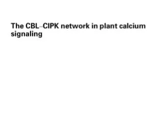 Ca 2+ signaling in plant
