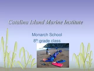 Catalina Island Marine Institute