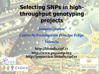 Selecting SNPs in high-throughput genotyping projects