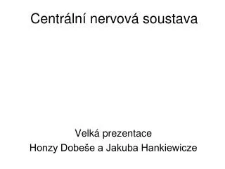 centr ln nervov soustava