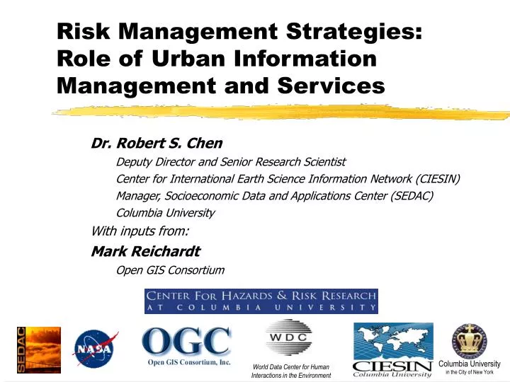 risk management strategies role of urban information management and services