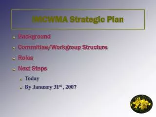IMCWMA Strategic Plan