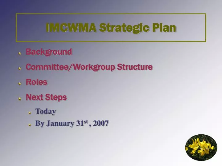 imcwma strategic plan