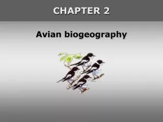 Avian biogeography