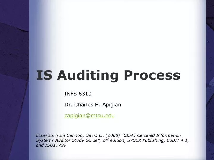 is auditing process