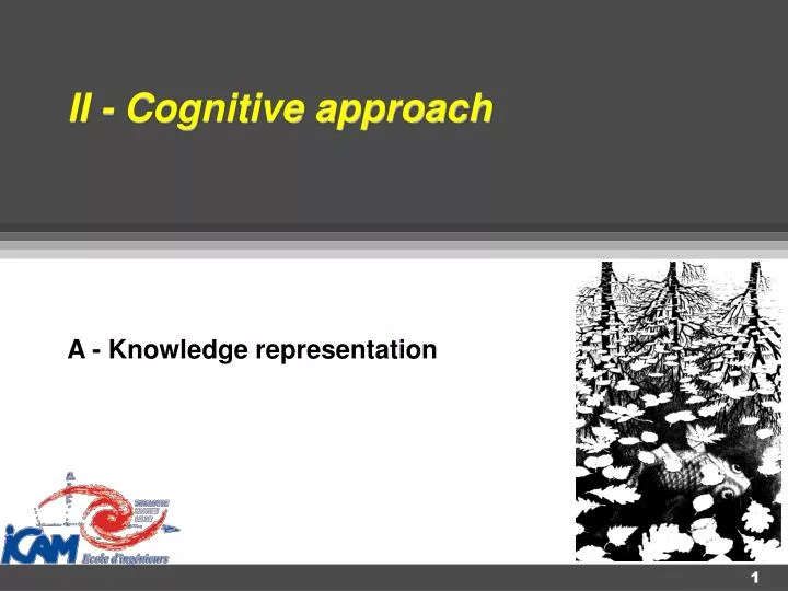 ii cognitive approach