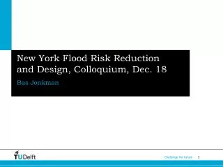 New York Flood Risk Reduction and Design, Colloquium, Dec. 18