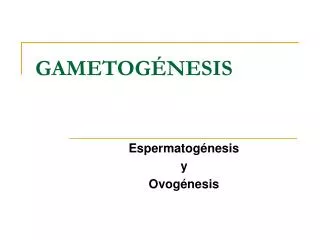 gametog nesis