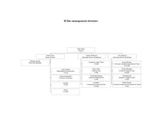 IS line management structure