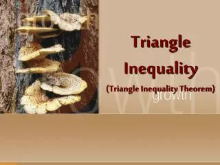 Triangle Inequality (Triangle Inequality Theorem)