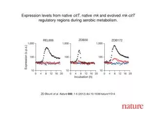 ZD Blount et al. Nature 000 , 1-6 (2012) doi:10.1038/nature11514