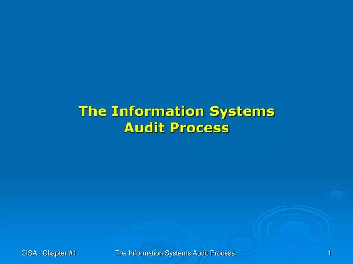 the information systems audit process