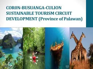 COR0N-BUSUANGA-CULION SUSTAINABLE TOURISM CIRCUIT DEVELOPMENT (Province of Palawan)