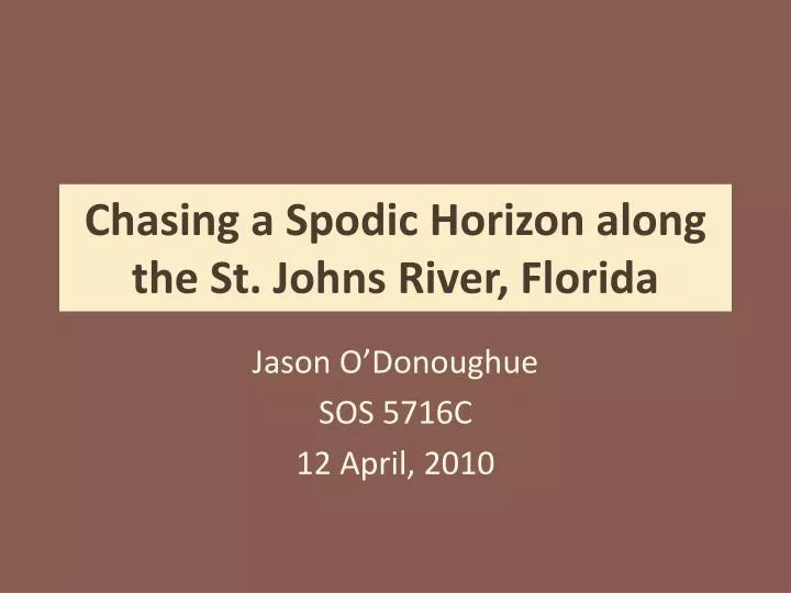 chasing a spodic horizon along the st johns river florida