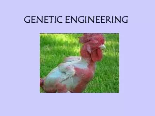 GENETIC ENGINEERING