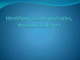 Identifying vision, principles, mission, strategies