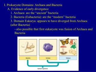 I. Prokaryote Domains: Archaea and Bacteria