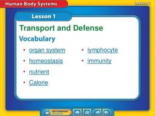lesson 1 reading guide vocab