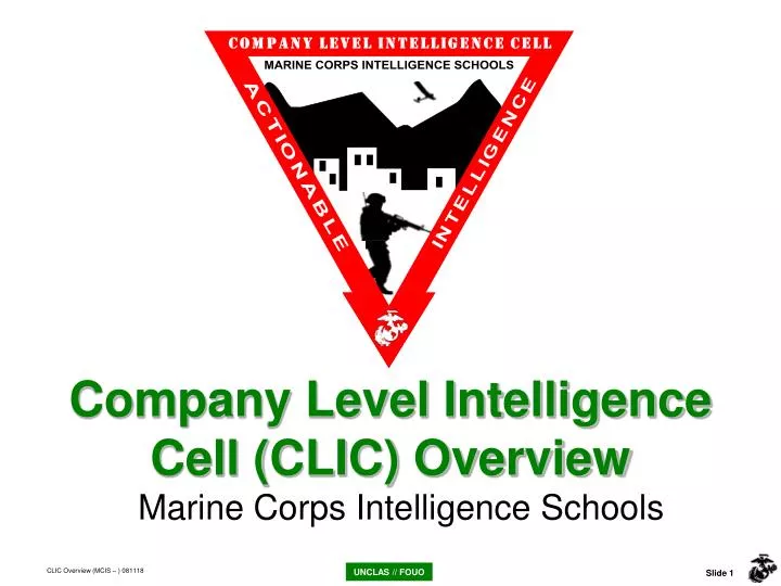 company level intelligence cell clic overview
