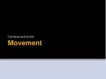 Movement - slide 1