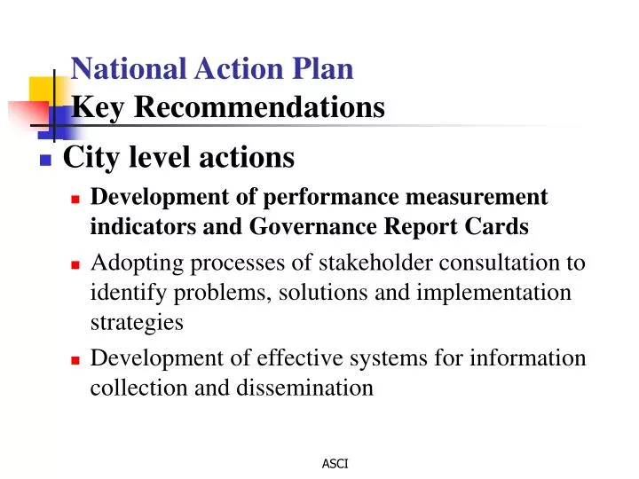 national action plan key recommendations