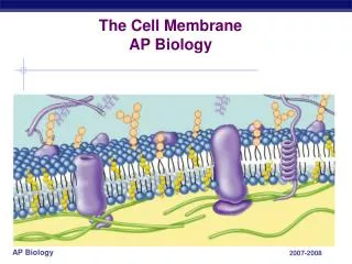 The Cell Membrane AP Biology