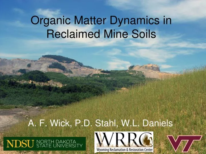 organic matter dynamics in reclaimed mine soils