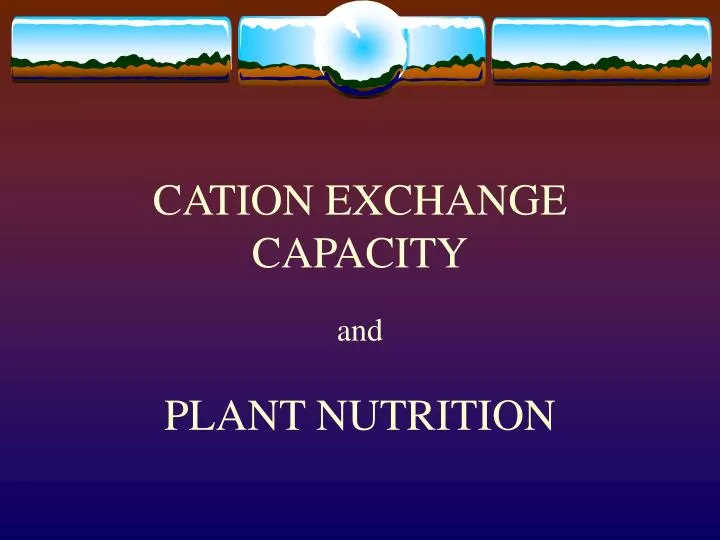 cation exchange capacity