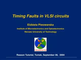 Timing Faults in VLSI circuits
