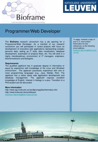 Programmer/Web Developer